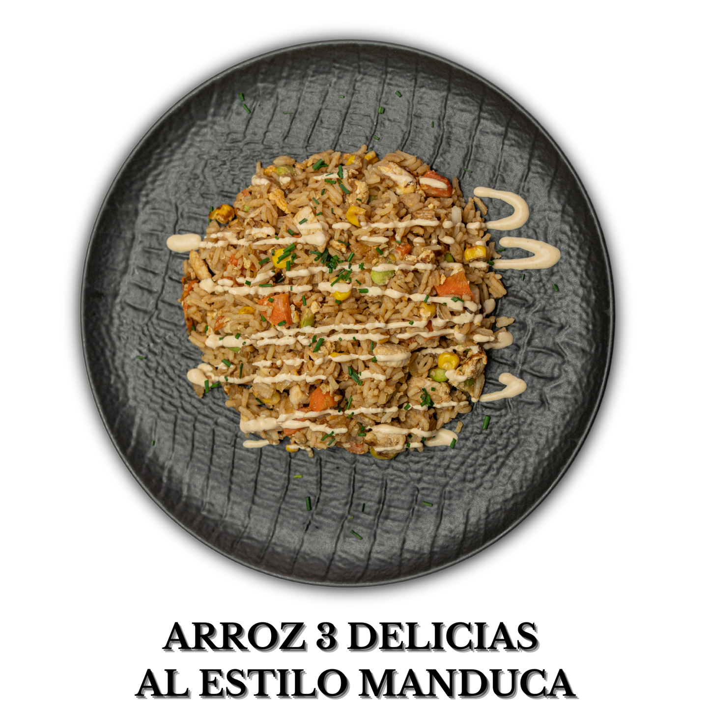Arroz 3 delicias estilo manduca alérgenos: soja, huevo, crustáceos, sulfitos, pescado